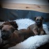 B-Wurf Woche 5