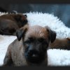 B-Wurf Woche 5